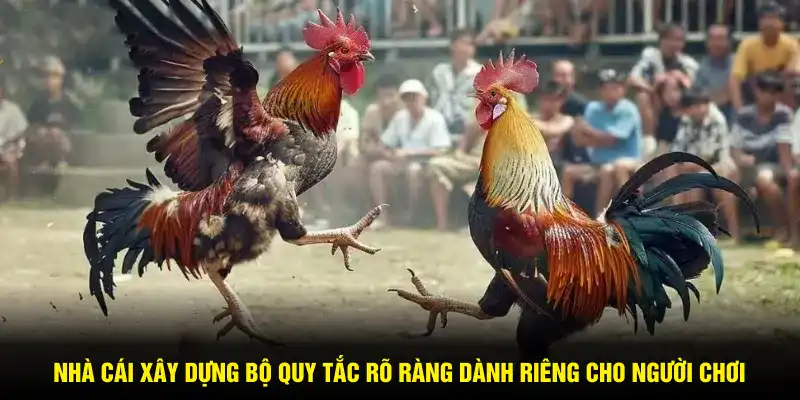 Nhà cái xây dựng bộ quy tắc rõ ràng dành riêng cho người chơi