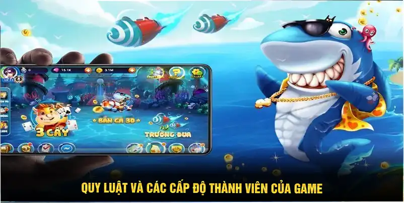 Quy luật và các cấp độ thành viên của game